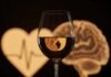 Moderate Drinking: Unveiling the Surprising Health Benefits Wine glass, healthy heart and brain