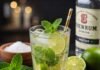 Step-by-Step Mojito Recipe That Tastes Just Like a Bar’s A Beautifully Styled Mojito, Ready to Enjoy!