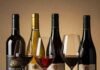 Best Alcohol for Beginners: A Friendly Guide to Getting Started Wine Variety
