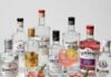 Top 10 Gin Brands for Every Budget and Taste Variety of gin bottles and cocktails