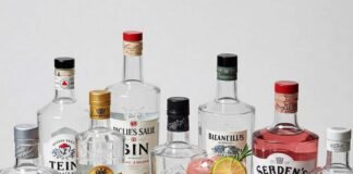 Top 10 Gin Brands for Every Budget and Taste Variety of gin bottles and cocktails